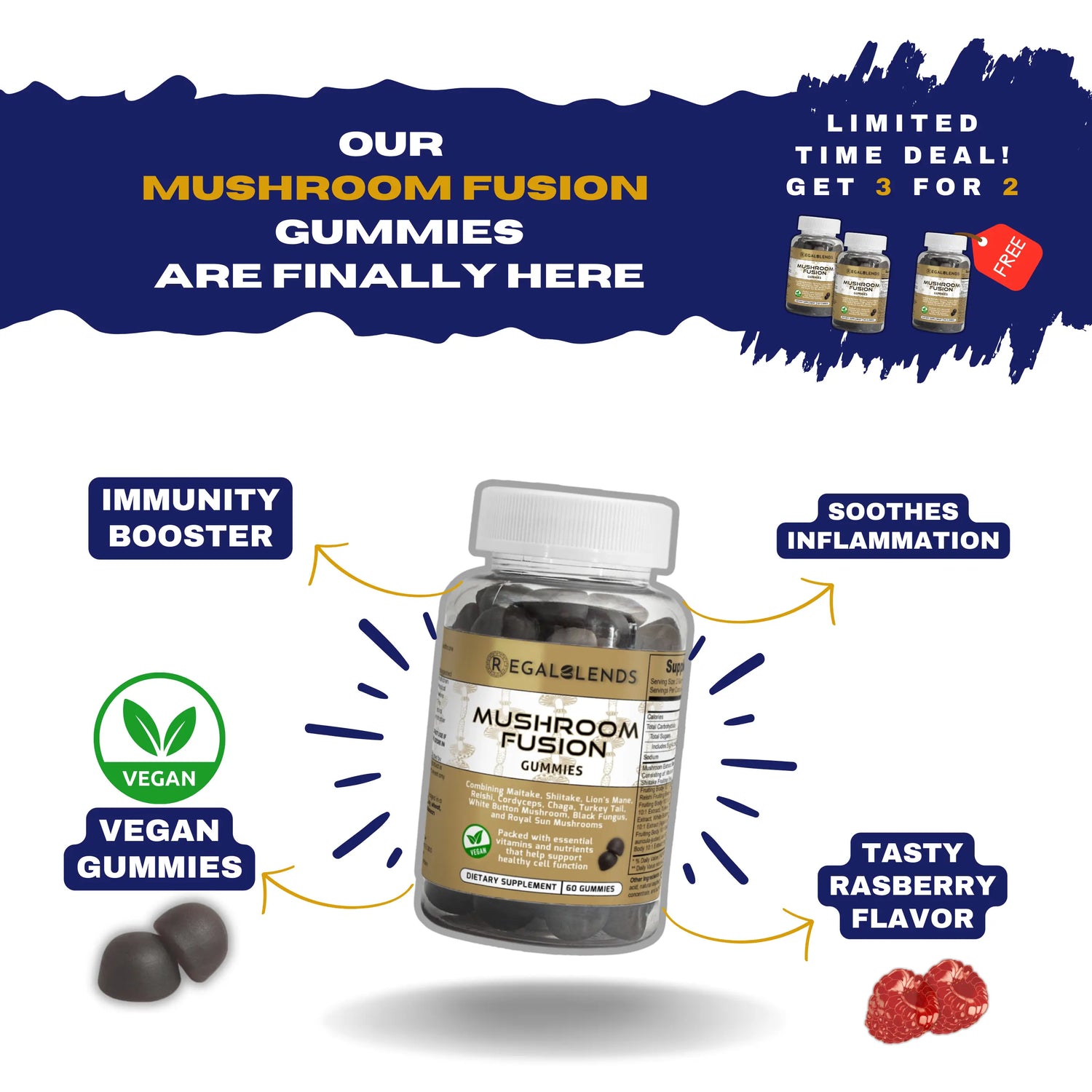 Mushroom fusion gummies infographic 