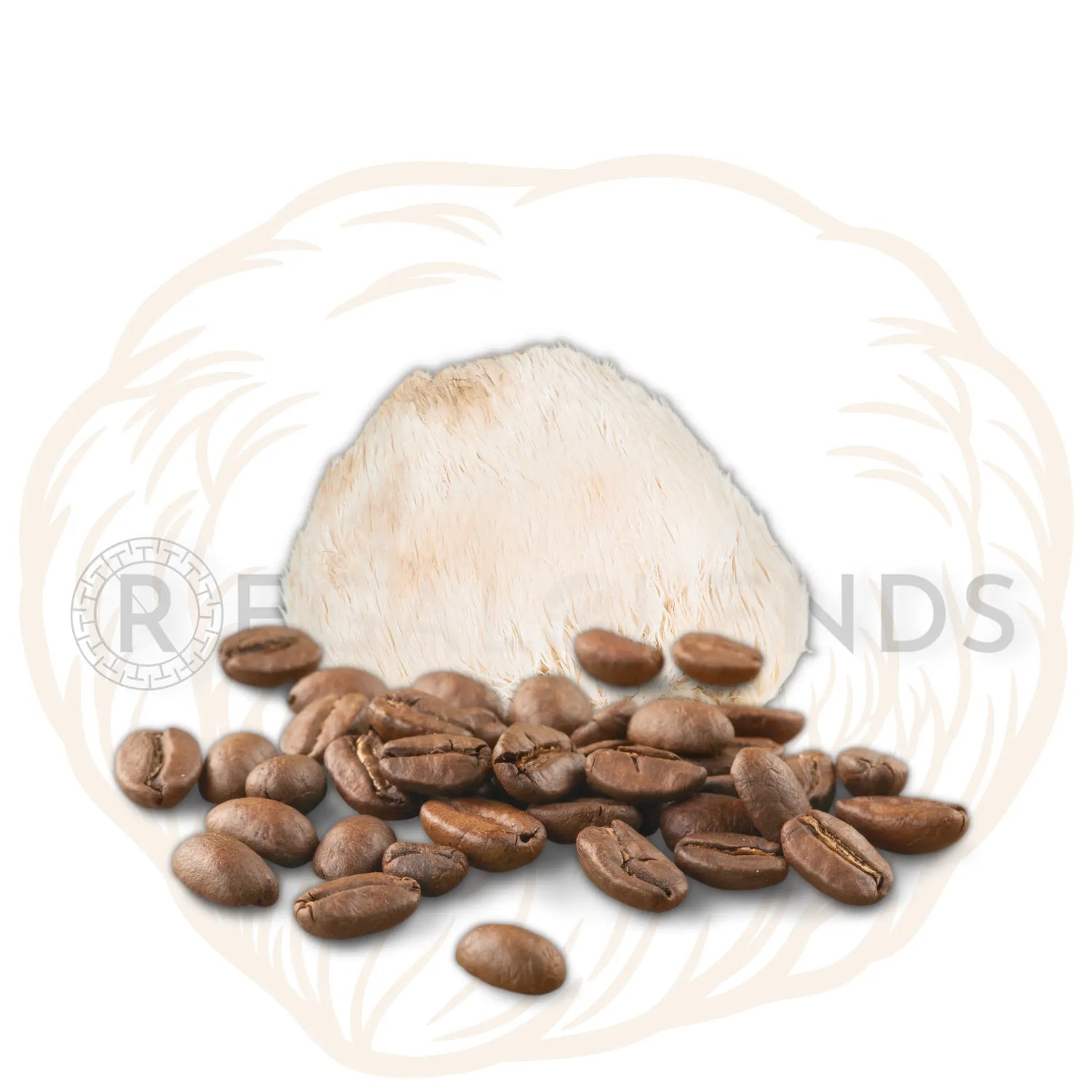 Lion's Mane Mushroom and Birch Chaga Mushroom Mixed With 100% Arabica Coffee